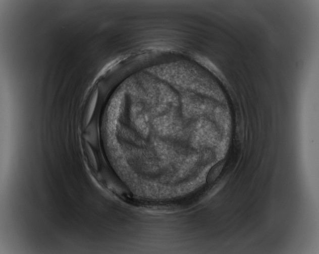 X0000084530530200703231654