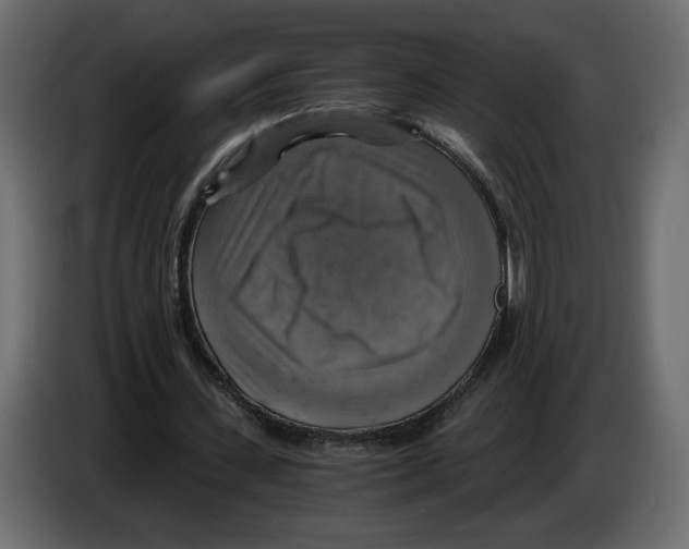 X0000084530531200703231654