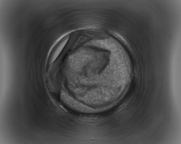 X0000084530532200703231654