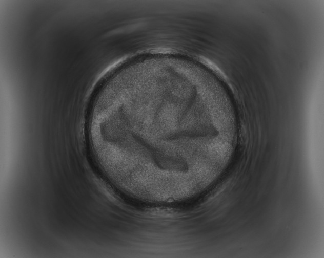 X0000084530535200703231654