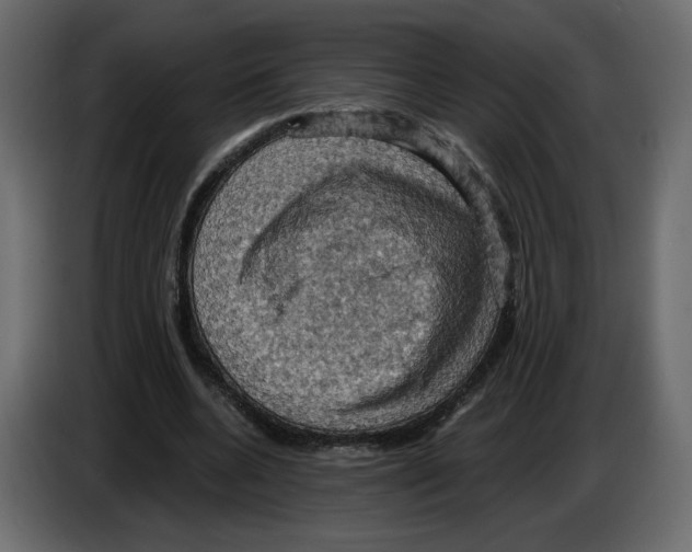 X0000084530536200703231654