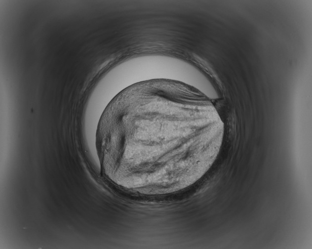 X0000084530538200703231654