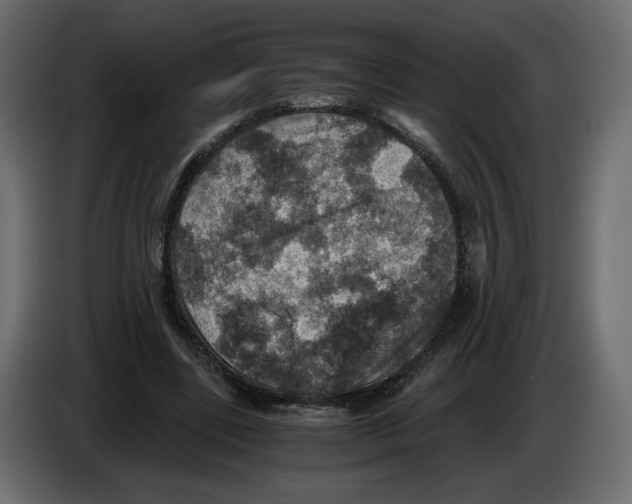X0000084530539200703231654