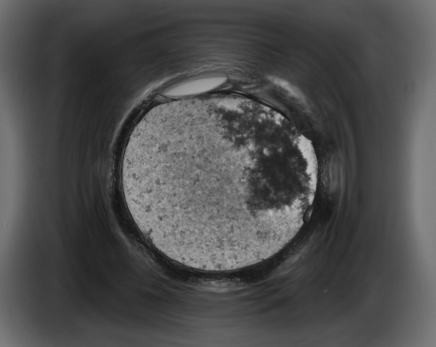 X0000084530540200703231654