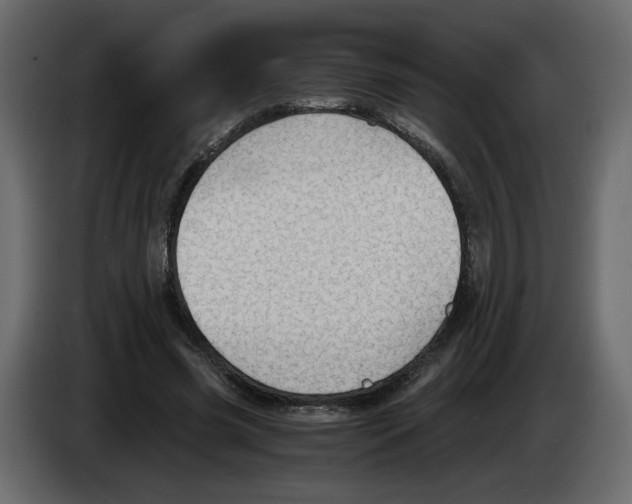 X0000084530541200703231654