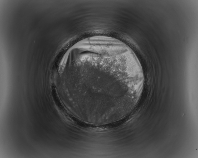 X0000084530542200703231654