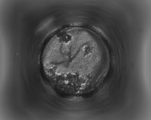 X0000084530543200703231654