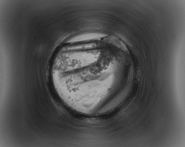 X0000084530544200703231654