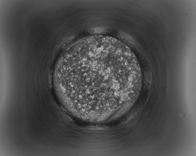 X0000084530545200703231655