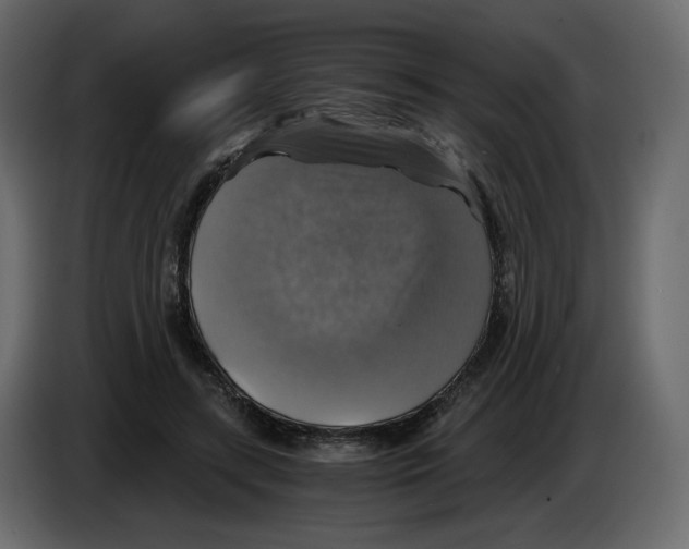 X0000084530547200703231655