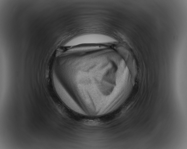 X0000084530548200703231655