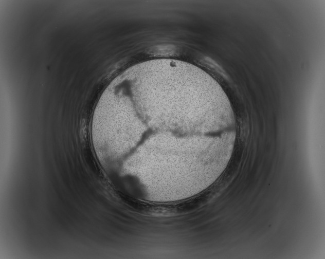 X0000084530549200703231655
