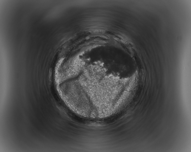 X0000084530550200703231655