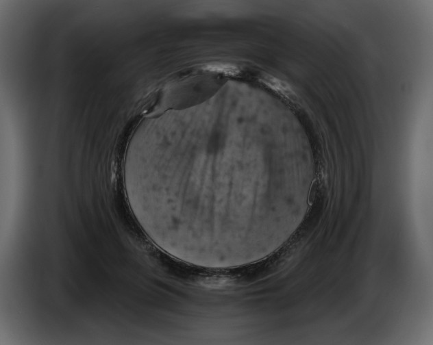 X0000084530551200703231655