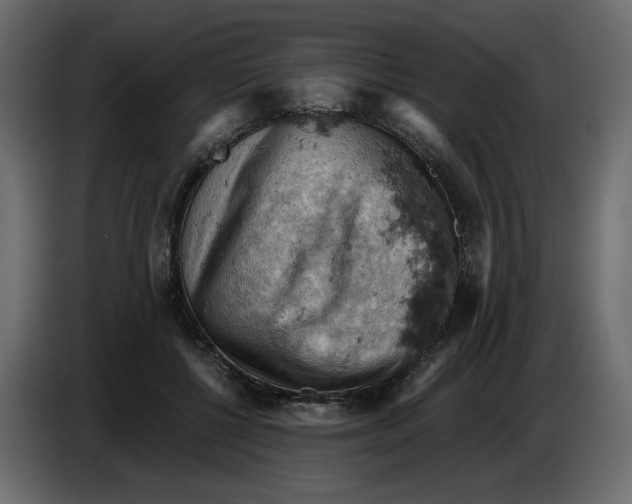 X0000084530552200703231655