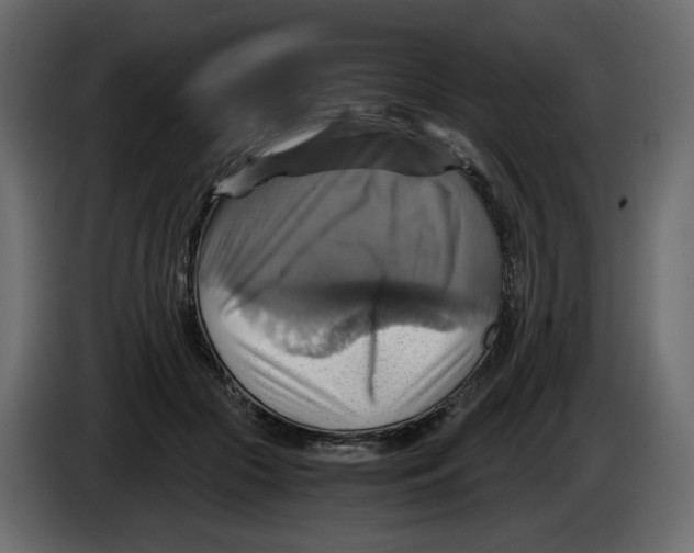 X0000084530553200703231655