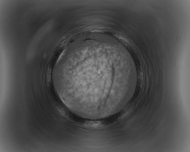 X0000084530554200703231655