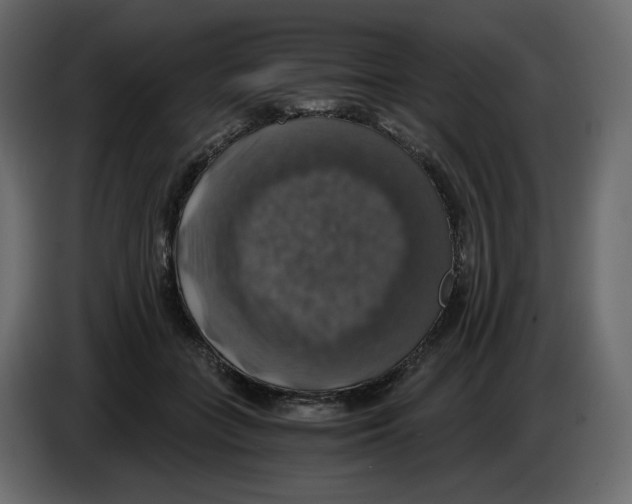 X0000084530555200703231655