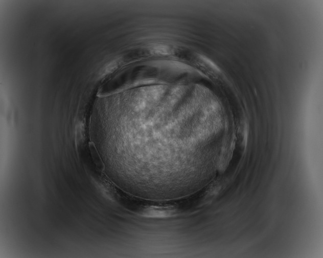X0000084530556200703231655