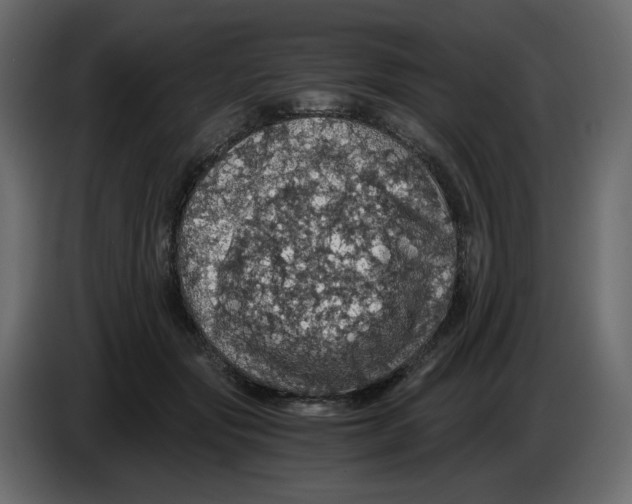 X0000084530557200703231655