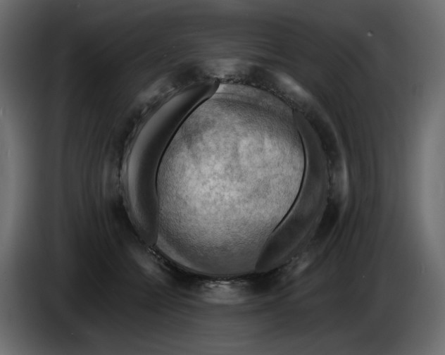 X0000084530558200703231655