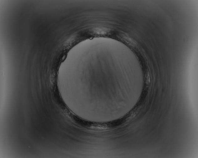 X0000084530559200703231655