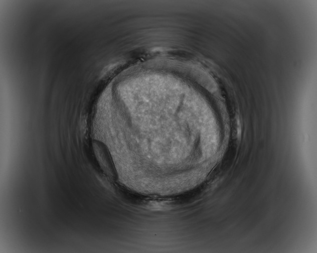 X0000084530560200703231655