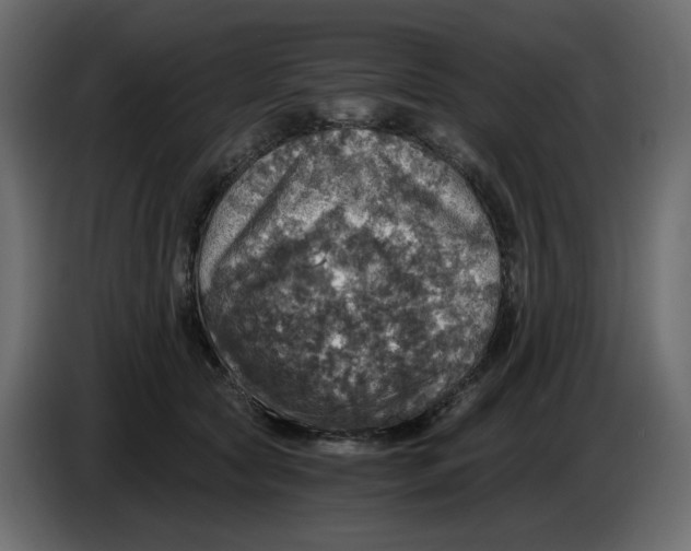 X0000084530561200703231655