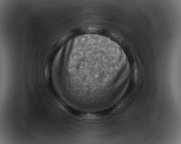 X0000084530562200703231655