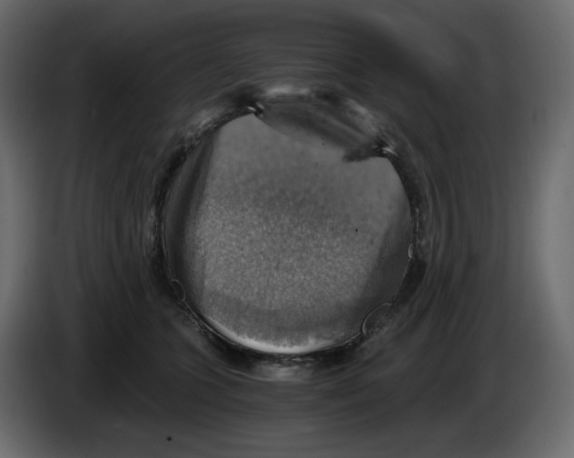 X0000084530563200703231655