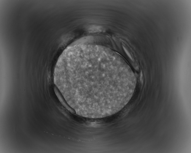 X0000084530564200703231655