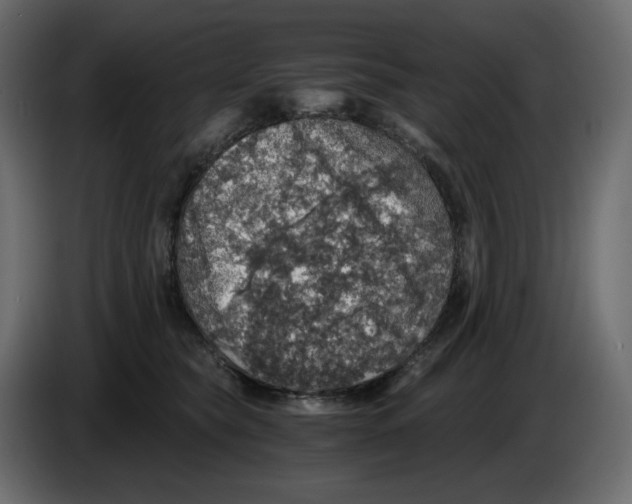 X0000084530565200703231655