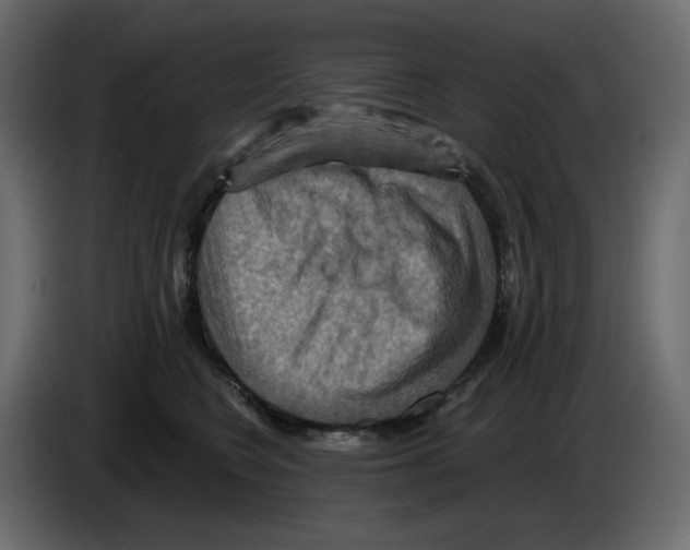 X0000084530566200703231655
