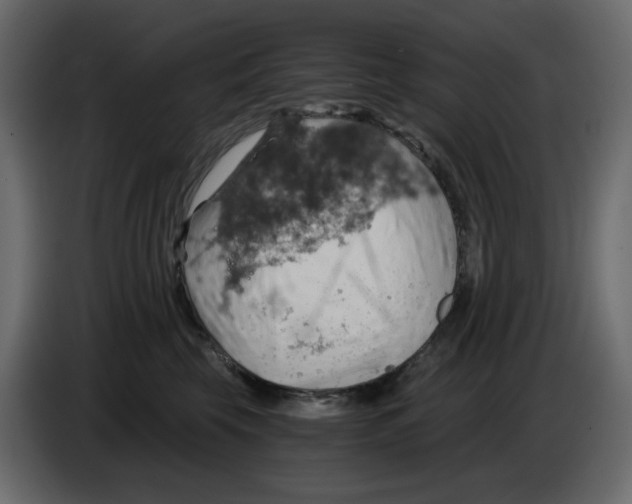 X0000084530569200703231655