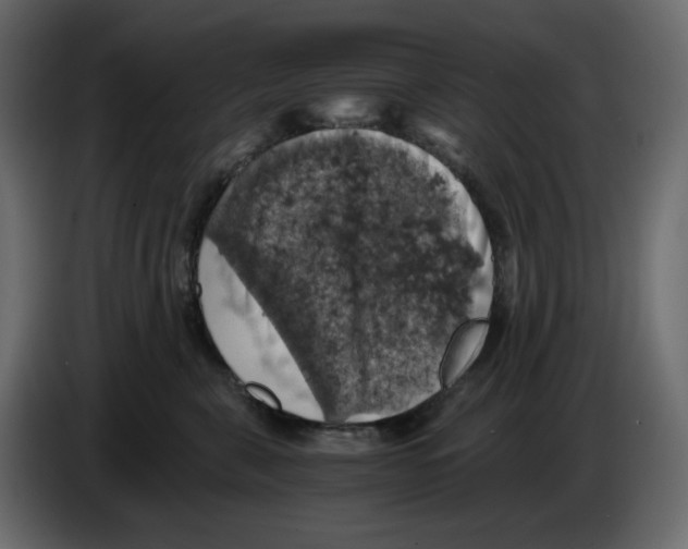 X0000084530571200703231655