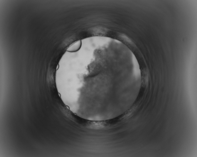 X0000084530573200703231655
