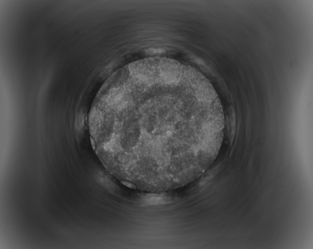 X0000084530574200703231655