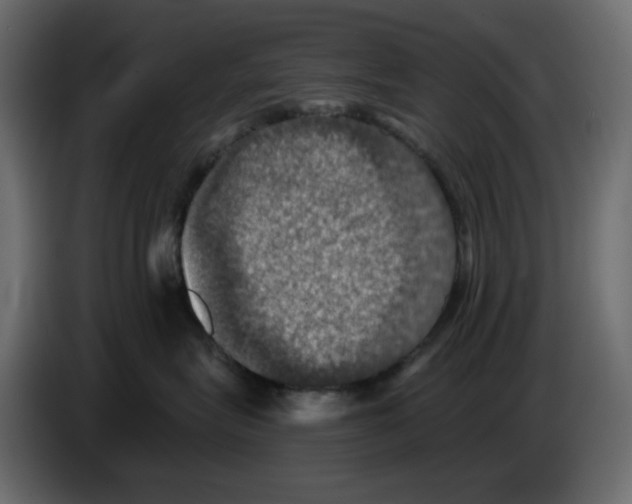 X0000084530575200703231655