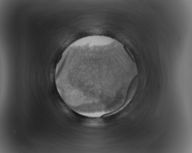X0000084530576200703231655