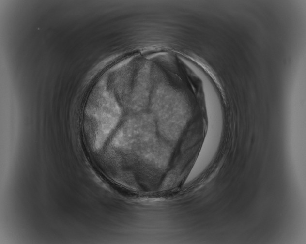 X0000084530577200703231654