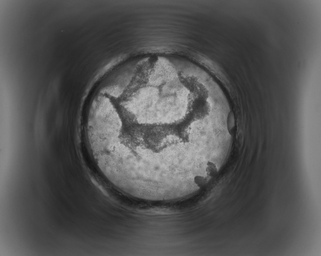 X0000084530578200703231654