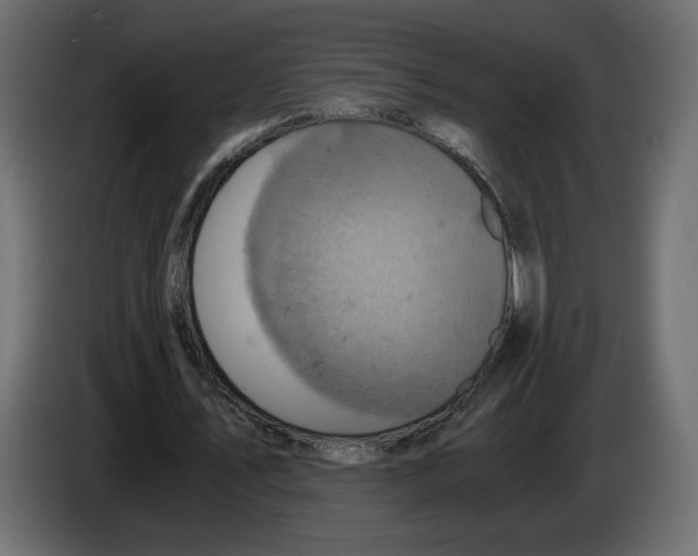X0000084530579200703231654