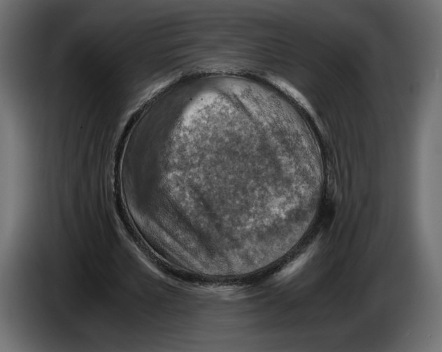 X0000084530581200703231654