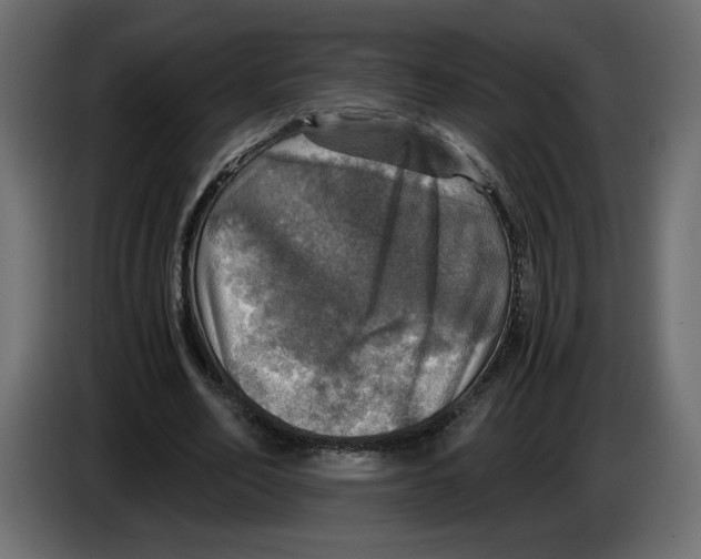X0000084530582200703231654