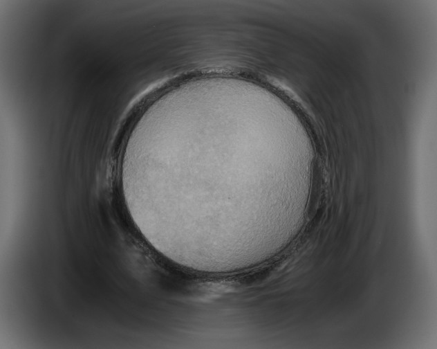 X0000084530583200703231654