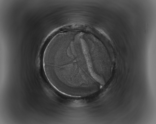 X0000084530584200703231654