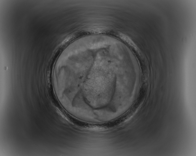 X0000084530585200703231654