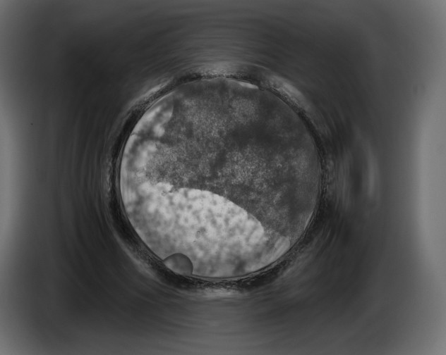 X0000084530586200703231654