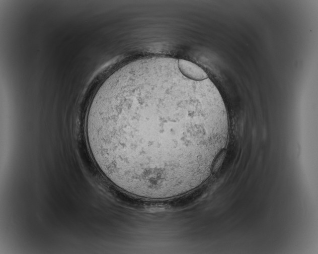 X0000084530587200703231654