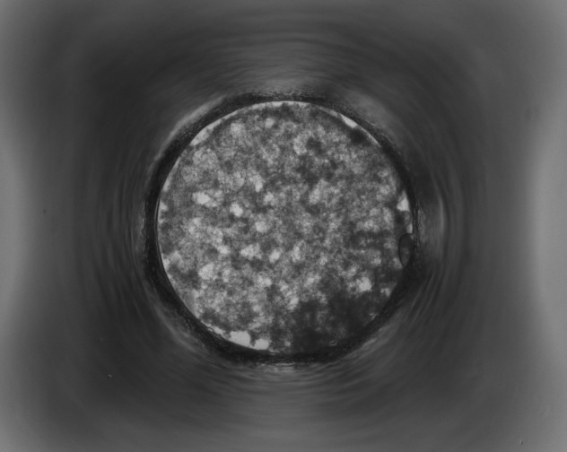 X0000084530588200703231654